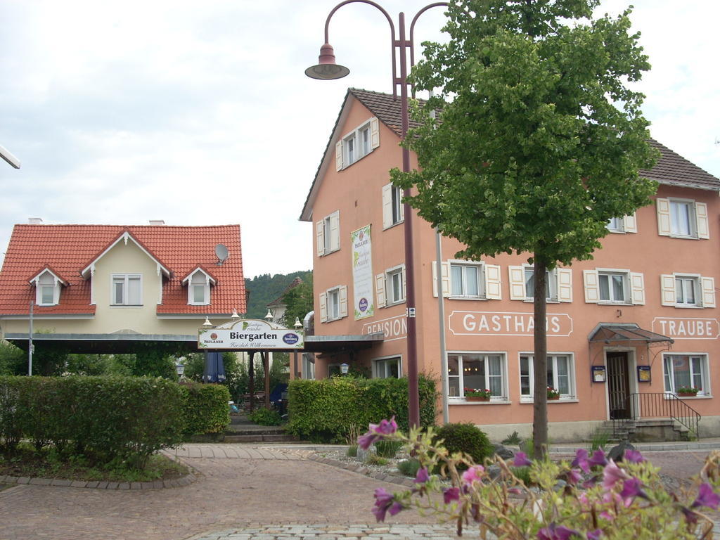 Gasthaus Traube, Ludwigshafen, Bodensee, Seenah Gelegen Бодман-Лудвигсхафен Екстериор снимка